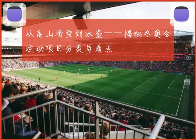 从高山滑雪到冰壶——揭秘冬奥会运动项目分类与看点
