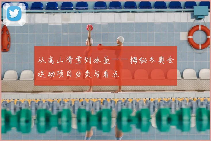 从高山滑雪到冰壶——揭秘冬奥会运动项目分类与看点