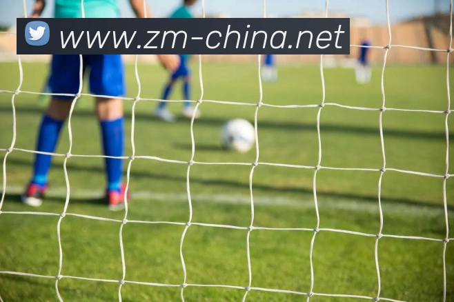 奇异果工作室官网平台生态图