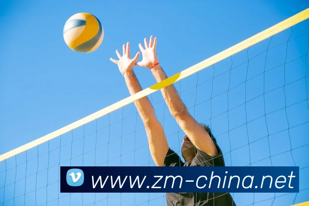 奇异果工作室官网APP 封面图